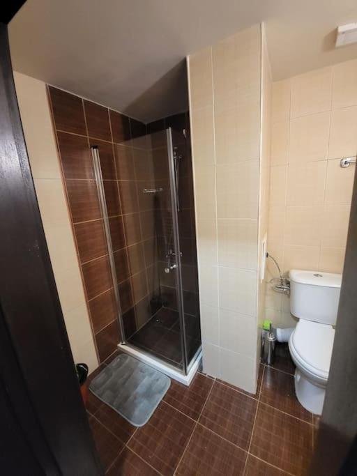 Bansko Royal Towers 253 Apartman Kültér fotó
